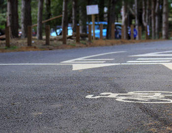 road surfaced in forest